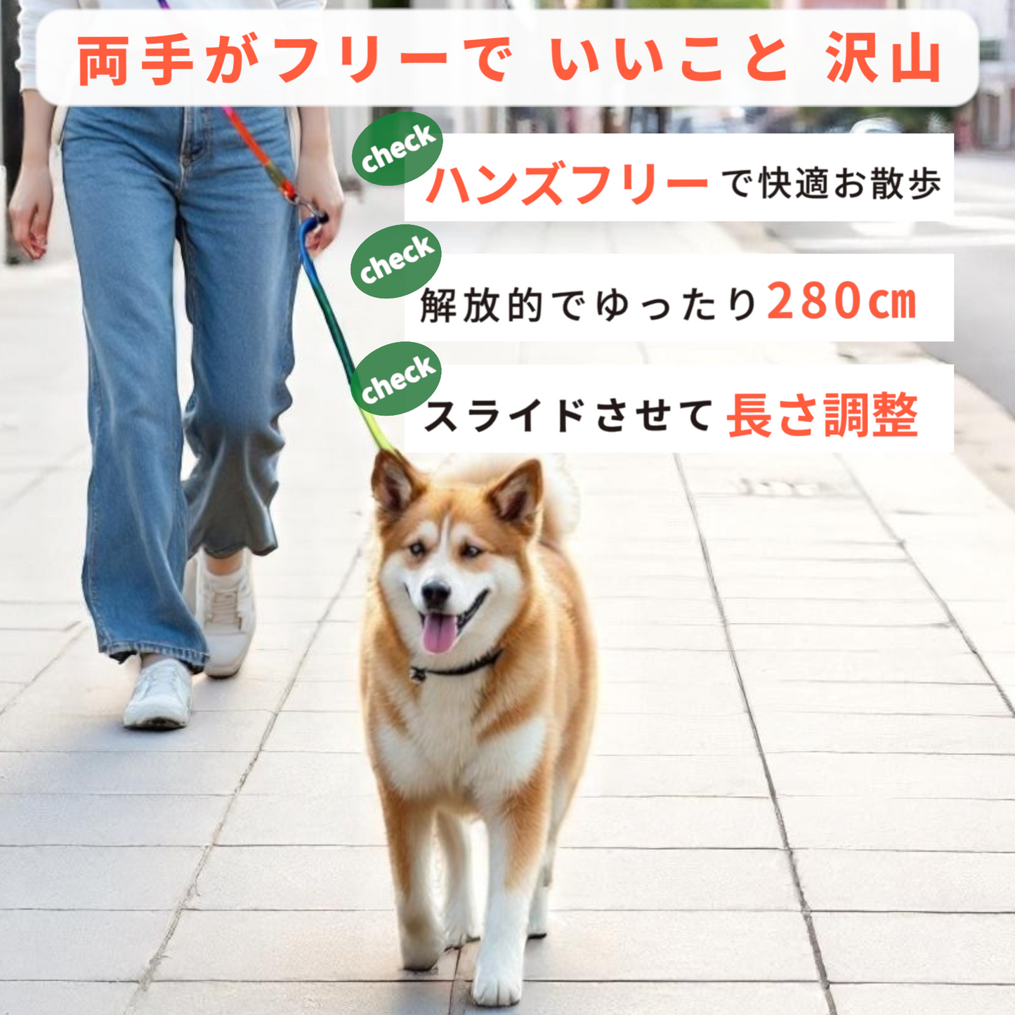 ショルダーリード(ナイロン)2.8m