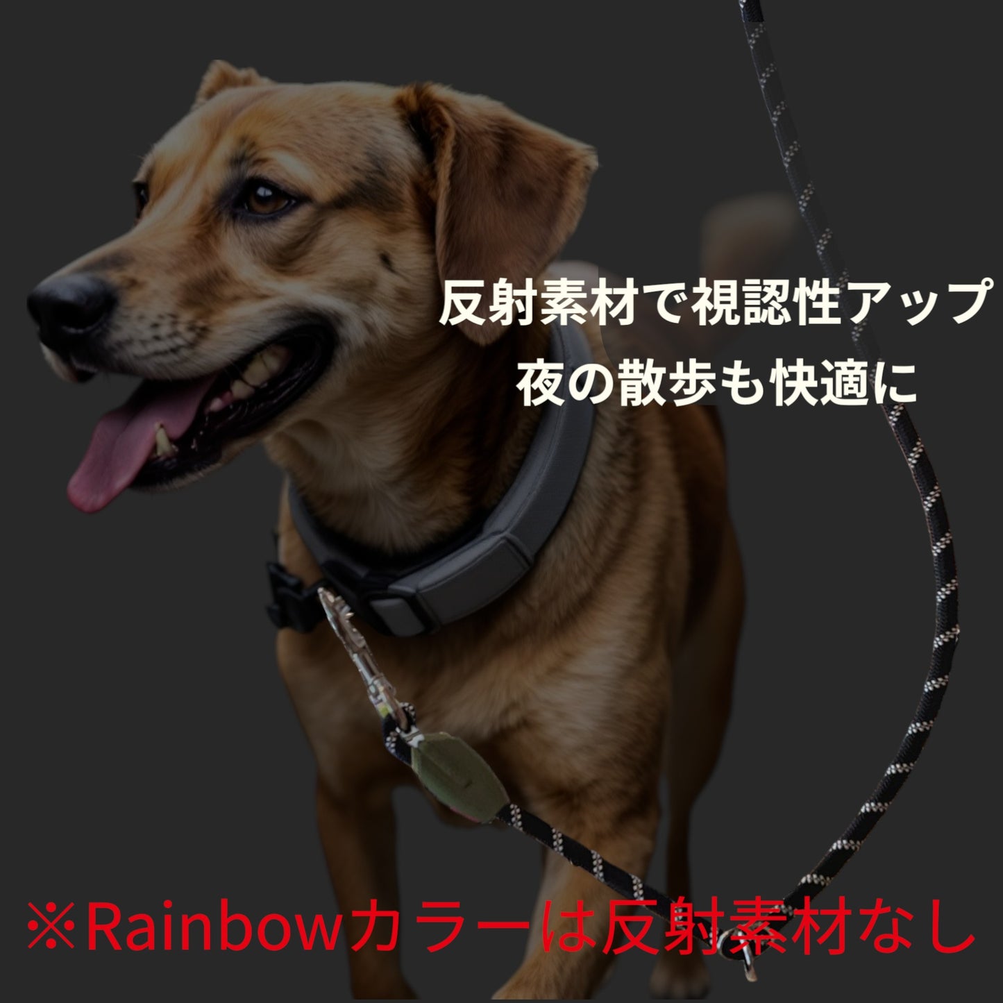 ショルダーリード(ナイロン)2.8m