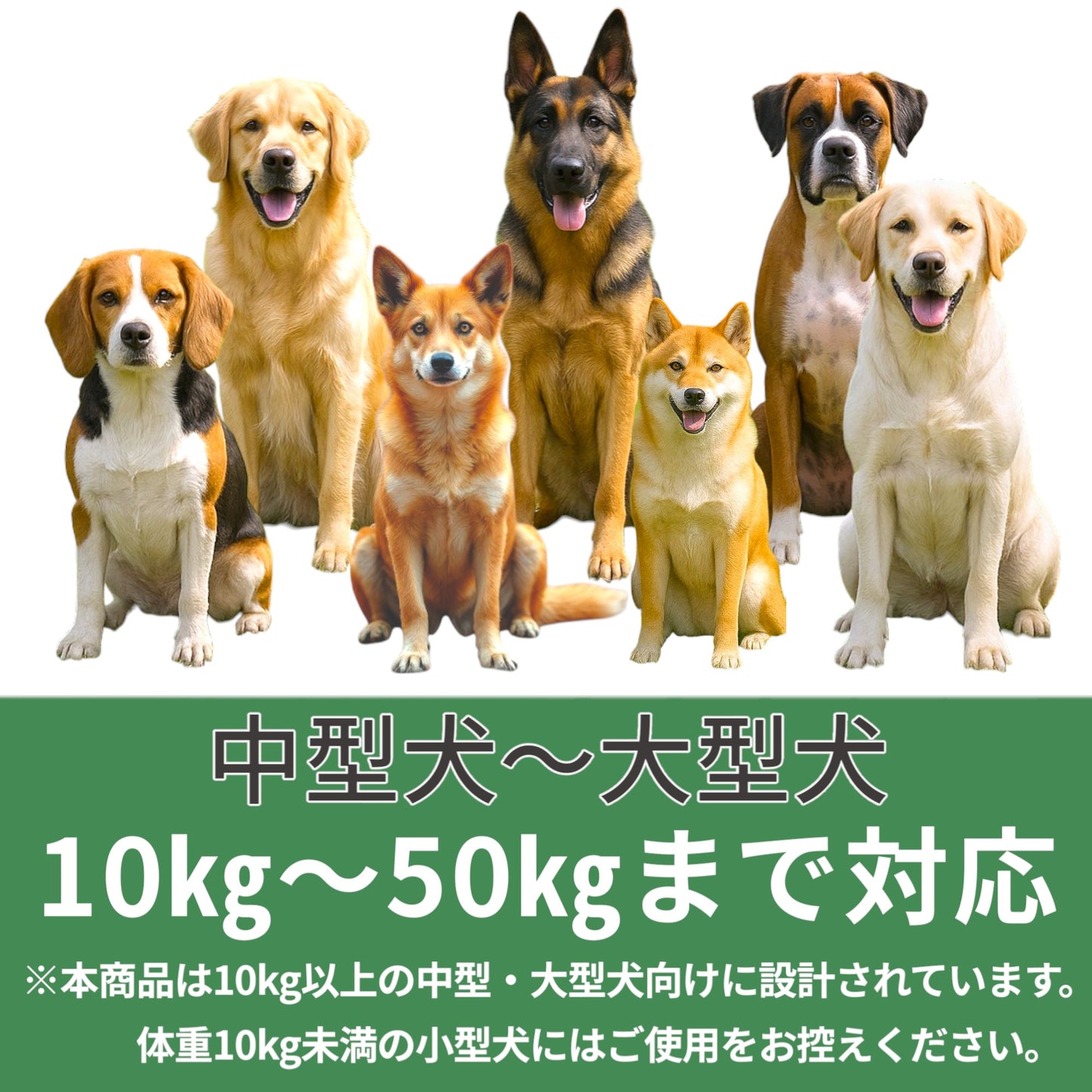 ショルダーリード(ナイロン)2.8m