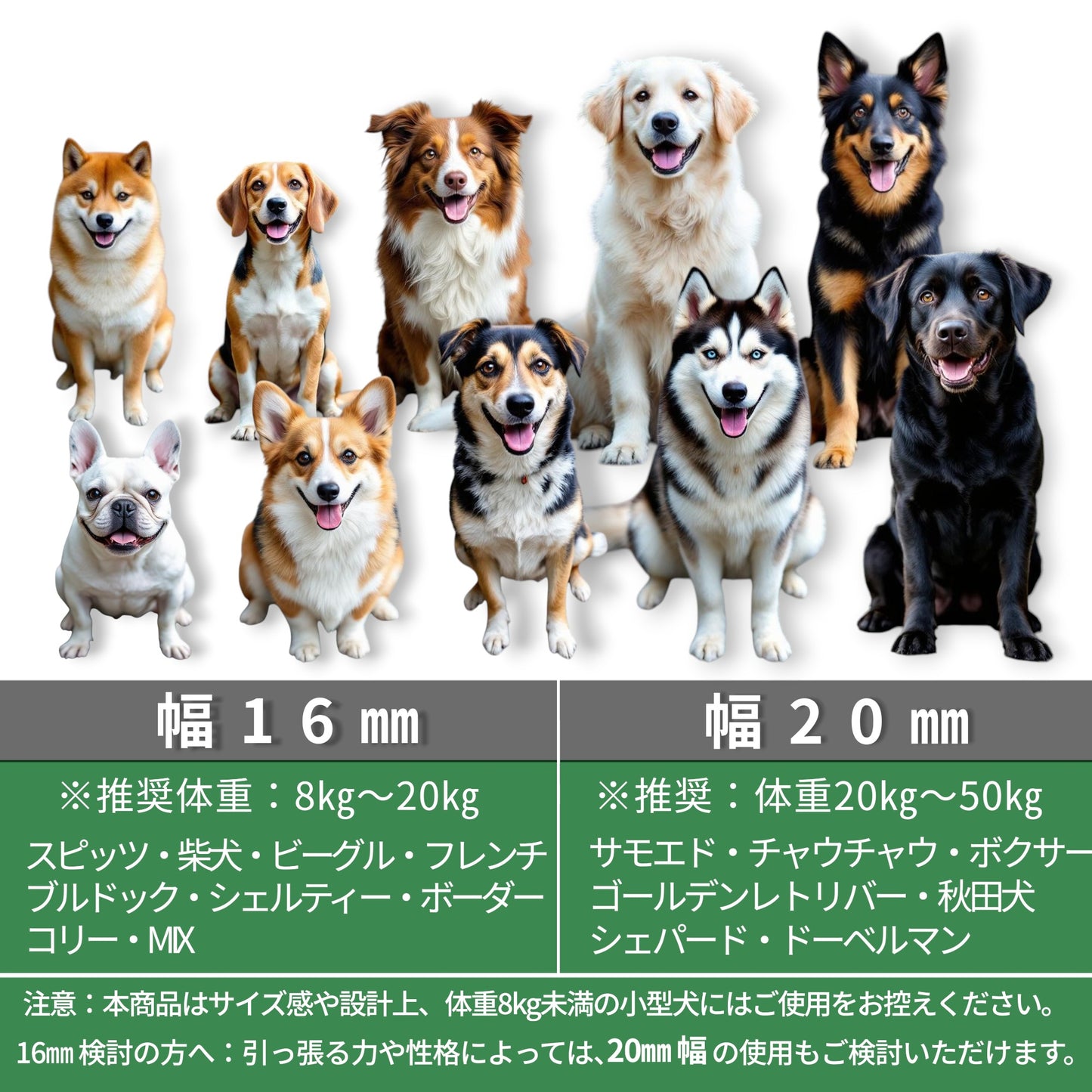 エフォートレス ショルダーリード PVC(2.45m)