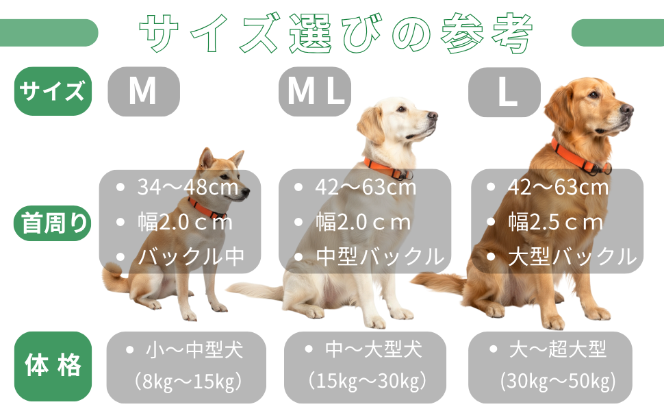 犬 首輪 PVC 防水 ダブルリング バックル式 小型犬8（８㎏以上） 中型犬 大型犬 雨散歩 アウトドア 水遊び