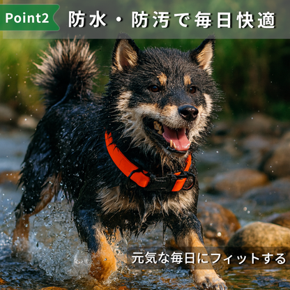 犬 首輪 PVC 防水 ダブルリング バックル式 小型犬8（８㎏以上） 中型犬 大型犬 雨散歩 アウトドア 水遊び