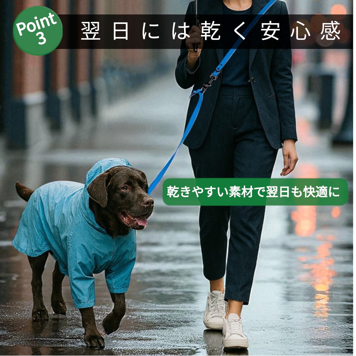 エフォートレス　ショルダーリード　PVC（2.45ｍ）