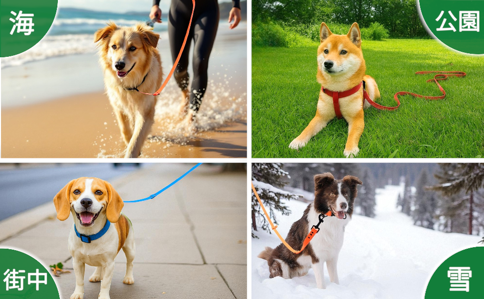 エフォートレス　ショルダーリード　PVC（2.45ｍ）