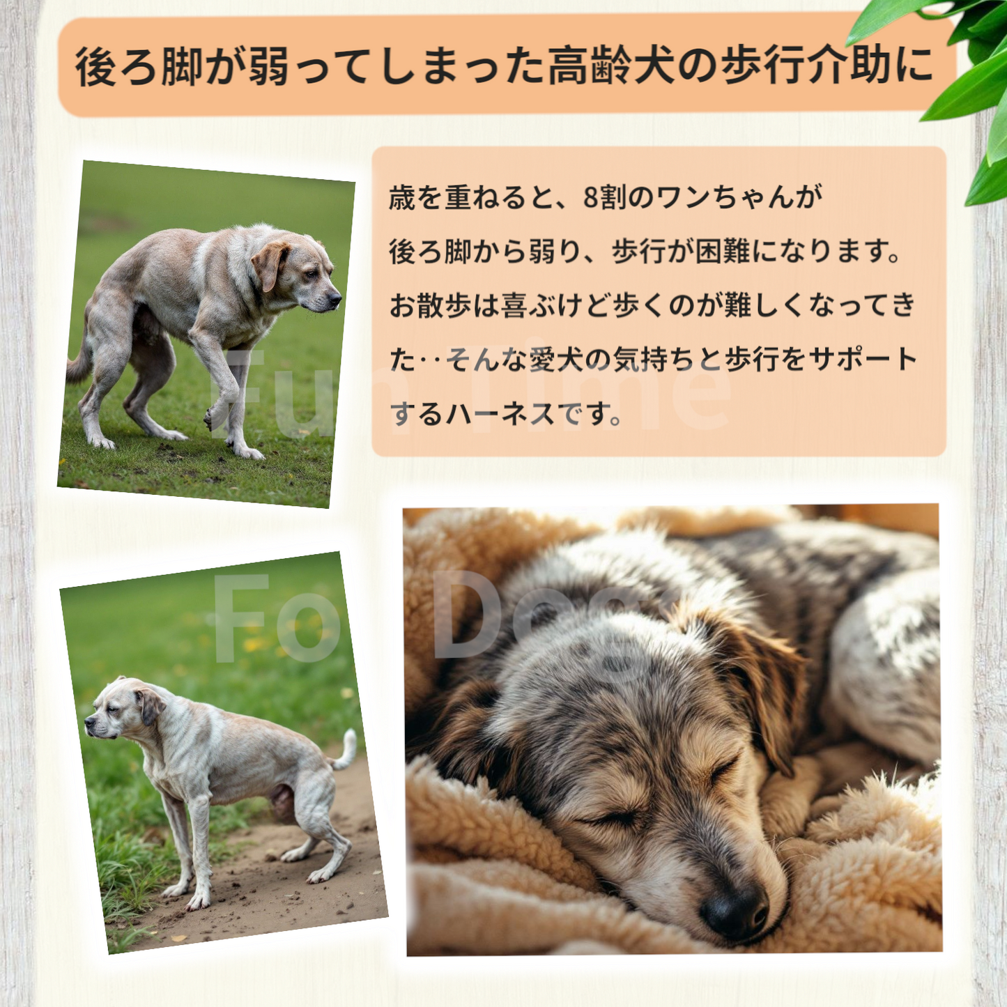 介護用ハーネス　後脚用