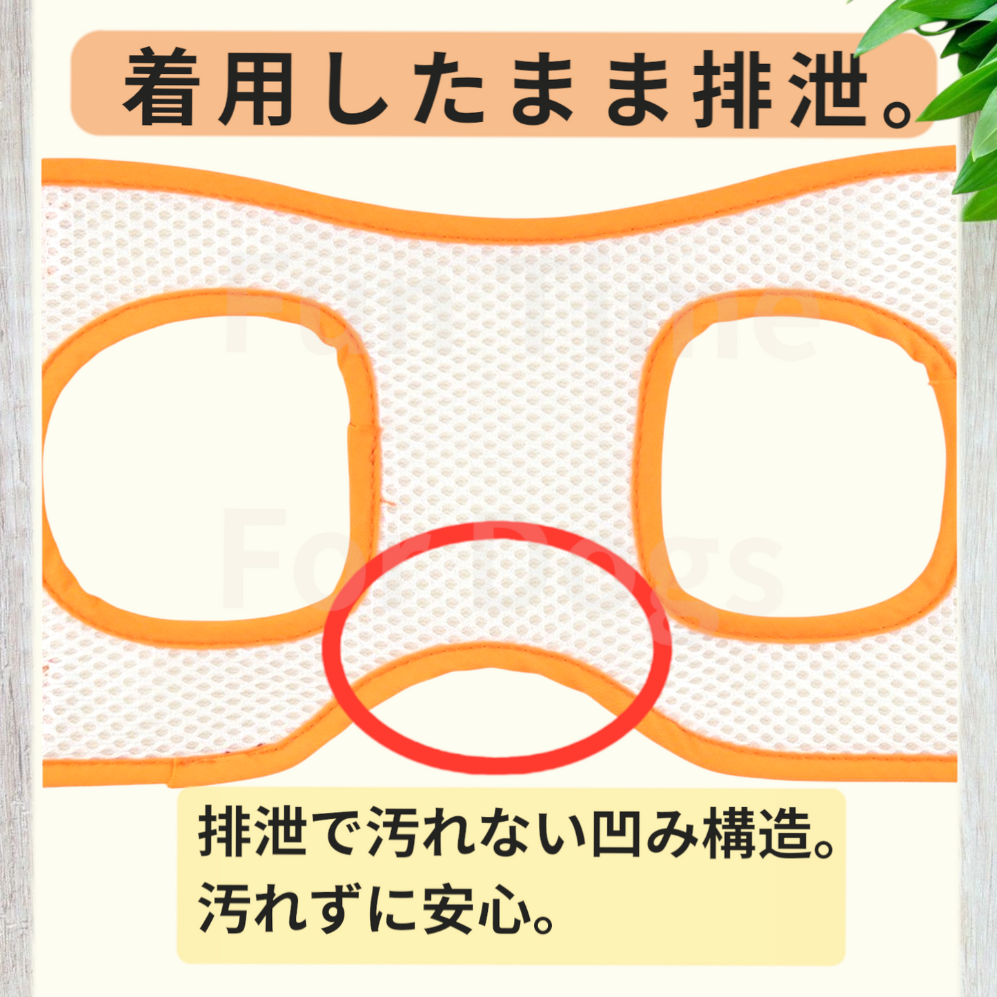 介護用ハーネス　後脚用