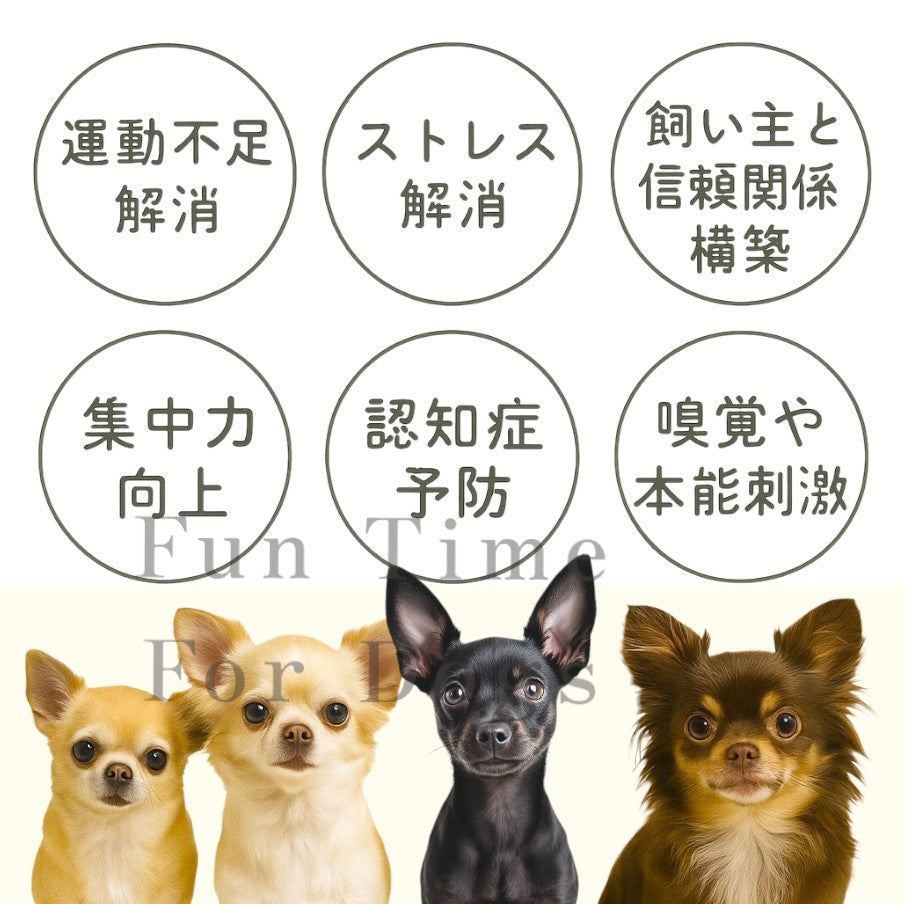 超小型犬 ノーズワークマット