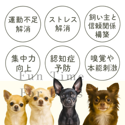 超小型犬 ノーズワークマット