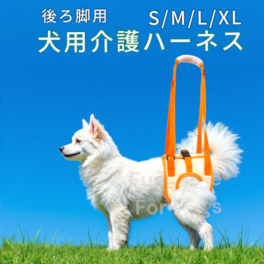 介護用ハーネス　後脚用